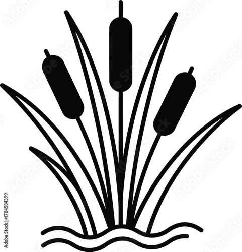 Cattails reeds in water vector illustration wetland plant icon graphic eps silhouette