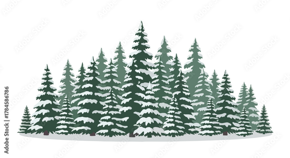 Fototapeta premium Winter Evergreen Forest Illustration A Dense Cluster of Snowy Spruce and Fir Trees in an 
