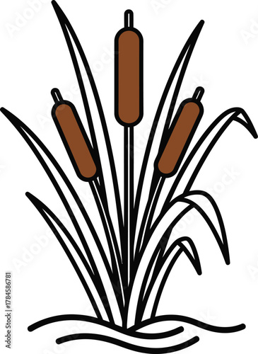 Cattails reeds vector illustration marsh plant wetland aquatic flora icon eps silhouette