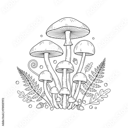 Whimsical Forest Mushroom and Fern Coloring Page Outline