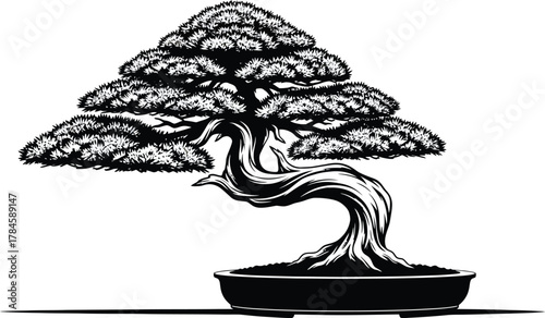 Black and white bonsai tree illustration zen garden art drawing design eps silhouette