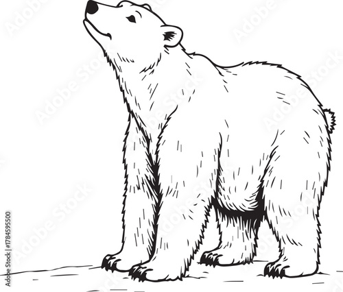 A majestic polar bear stands tall, its gaze fixed upwards against a stark, minimalist backdrop, embodying a sense of strength and resilience. 