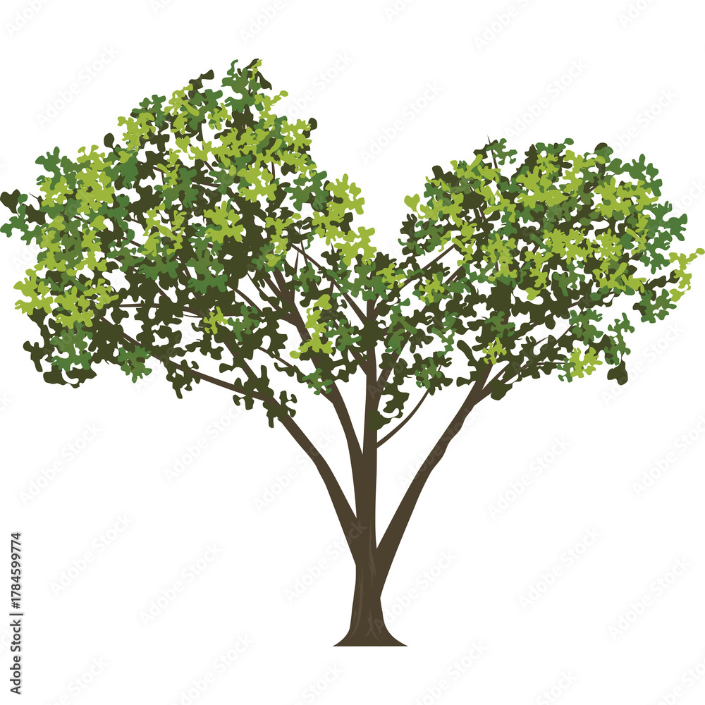 Fototapeta premium A stylized illustration of a deciduous tree with lush green leaves and a brown trunk against a transparent background featuring a heart-shaped canopy symbolizing nature and love