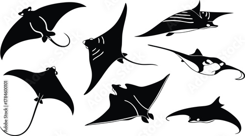 Set of manta ray vector silhouettes. Marine animal icon collection