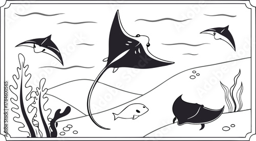 Underwater scene with manta rays vector illustration. Marine life black and white graphic