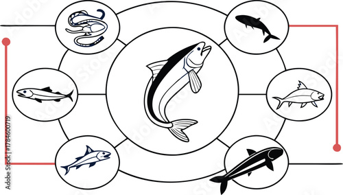 Set of fish vector icons. Marine life infographic with salmon, shark, and eel