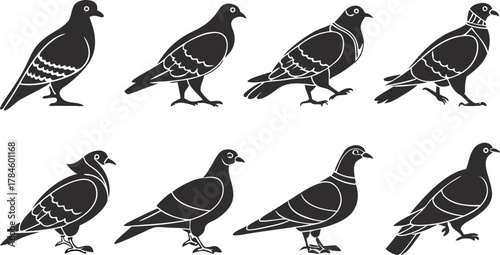 Set of eight pigeon silhouettes. Vector bird icon collection in black and white