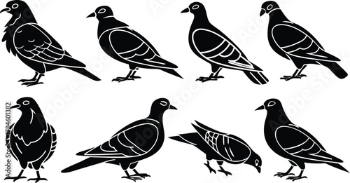 Set of eight pigeon silhouettes. Vector bird icon collection in various poses