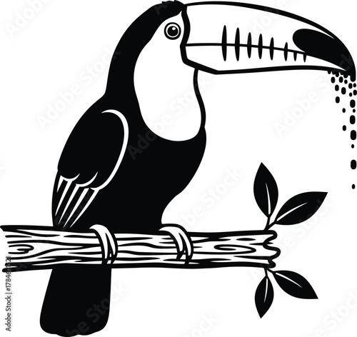 Black and white toucan vector illustration tropical bird clip art image eps silhouette