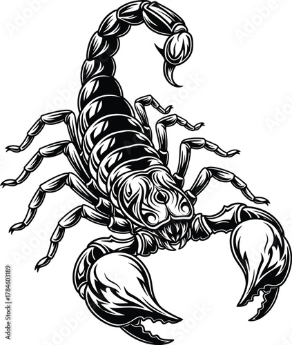 Detailed black and white scorpion vector illustration for tattoo art eps silhouette
