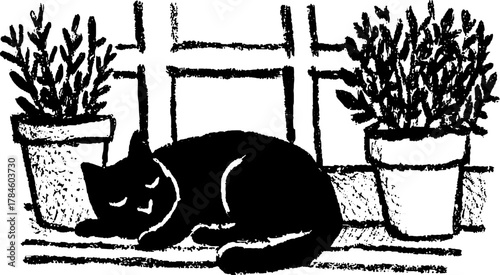 Black cat sleeping beside potted plants in a hand-drawn vector illustration. The minimalist design depicts a tranquil indoor scene.