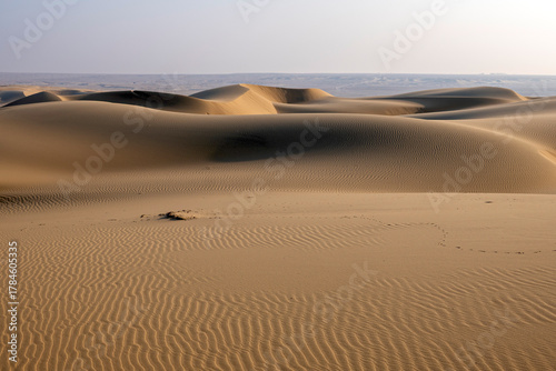 Photography Doha, Qatar - A vast desert landscape with golden sand dunes stretching to the h