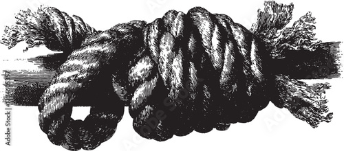 Rope knot with detailed fiber texture in vintage black and white style. Engraving vector illustration with classic handdrawn design.
