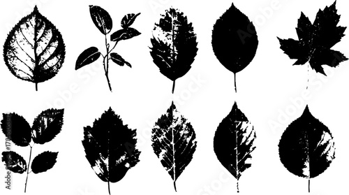 Black leaf silhouettes and botanical shapes in a set. This collection features visually striking designs in vector illustration.