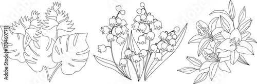 Line drawing of bell flower, heliconia and lily flower on white background. Line drawing.
Set of three flowers made with line drawing.