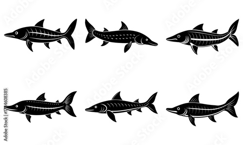 Collection of six distinct silhouette sturgeon fish illustrations, showcasing anatomical details and dynamic poses, perfect for aquatic themes and natural history projects.