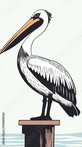 Minimalist vector illustration of pelican standing on wooden dock post with detailed feathers and large beak by water background in flat style