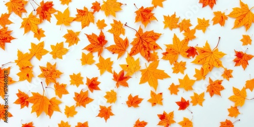 Golden autumn leaves scattered on pristine white background,   botanical,  decoration