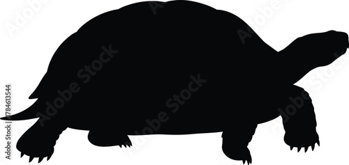 Black silhouette of a tortoise reptile animal pet wildlife illustration eps