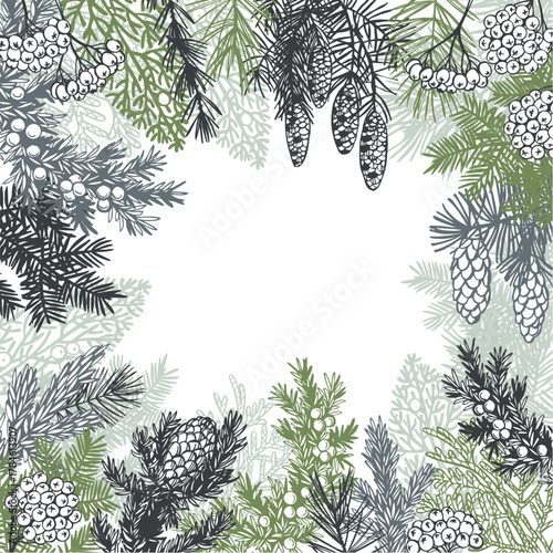 Hand-drawn branches and cones of coniferous trees. Christmas plants.  Vector background. Sketch  illustration.  