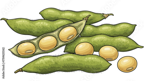A pile of green soybeans some in pods and some shelled