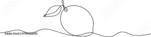 Minimalist line drawing of a lemon with leaf fruit
