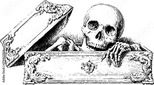 Vintage skeleton emerging from a coffin. Detailed vector illustration with an eerie outline for artistic representation.