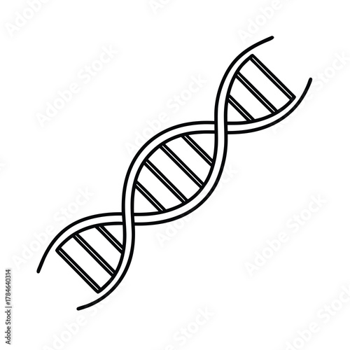 dna structure vector illustration
