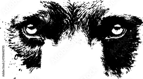 Black bear face vector illustration in detailed monochrome style. The powerful animal is depicted in a fierce expression.