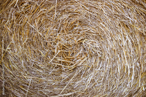 Roll of dry straw for livestock