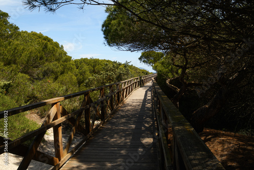 Fototapeta Naklejka Na Ścianę i Meble -  The area of Es Comú de Muro - a protected system of sand dunes (Mallorca, Spain)