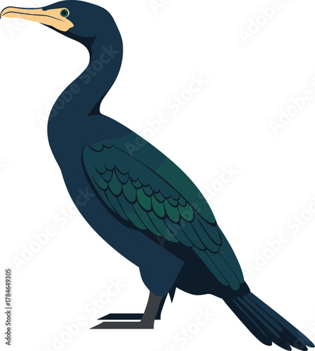 Detailed Graphic Cormorant Bird Illustration with Sleek Feathers and Streamlined Form