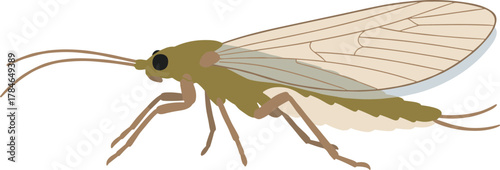 Detailed Flat Illustration of a Green Adult Caddisfly Insect Creature