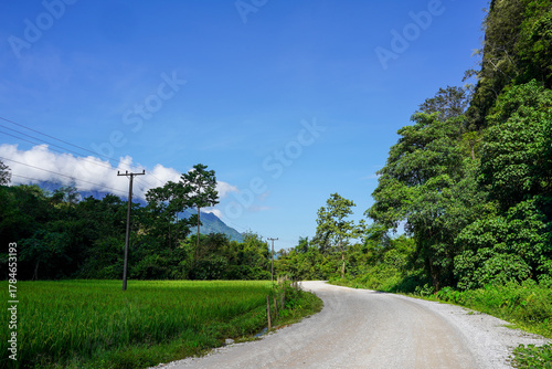 Curving gravel road beside rice fields and jungle under clear sky, Vang Vieng, Laos