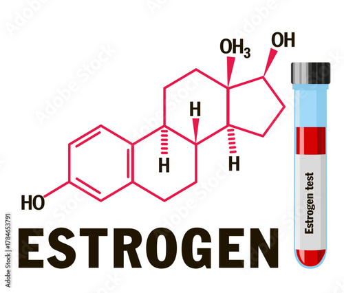 Symbol of Estrogen molecule with lab samples. Female sex hormone.  Estrogen Hormones symbol. Sex hormone symbol isolated on a white background. A test tube with blood for laboratory tests