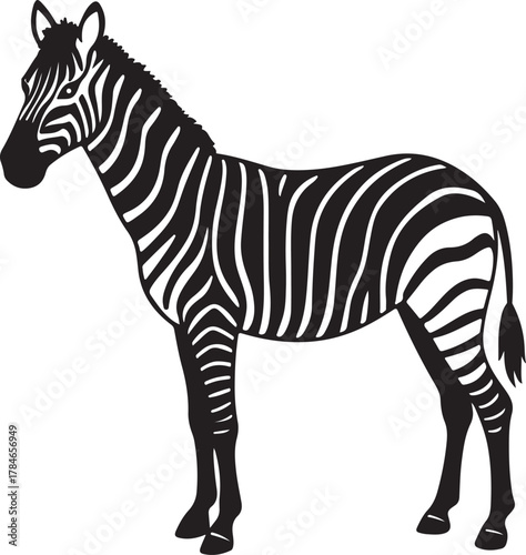 Black and white illustration of a standing zebra animal