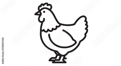 Chicken outline icon vector
