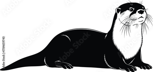 Otter vector illustration black and white animal wildlife river mammal art eps silhouette