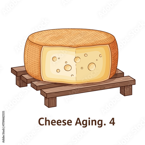 A large wheel of Swiss cheese aging on a wooden pallet rack.