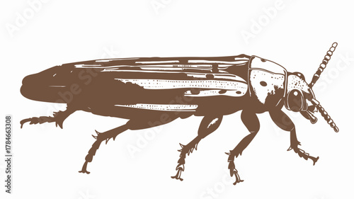 AI Image A detailed illustration of a beetle in a sepia tone against a plain background