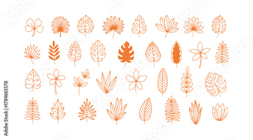 A collection of tropical leaves, with plants standing out against a white background. A large assortment of cute doodle floral icons, featuring flowers, all drawn in black with thin lines.