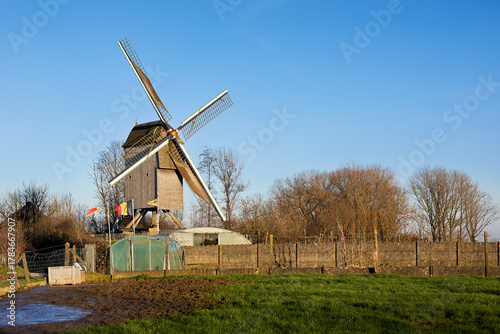 A rustic wooden windmill stands tall under a clear blue sky, surrounded by bare winter trees and a vibrant green field. A symbol of tradition and natural power in a peaceful rural landscape.
