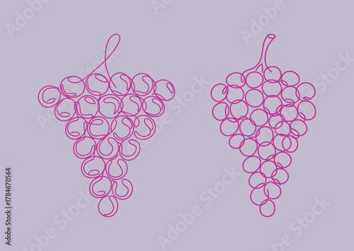 Pair of clusters of grapes drawn in continuous magenta pink line art on a light lavender background, highlighting organic fruit.