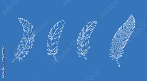 Set of four detailed white line art illustrations of soft falling bird feathers on a bright blue background, representing lightness and freedom.