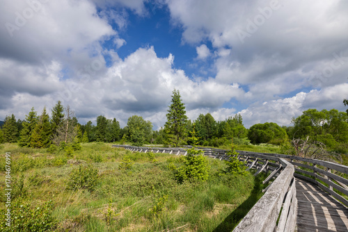 Fototapeta Naklejka Na Ścianę i Meble -  Boardwalk winding through Bieszczady moorland wetland