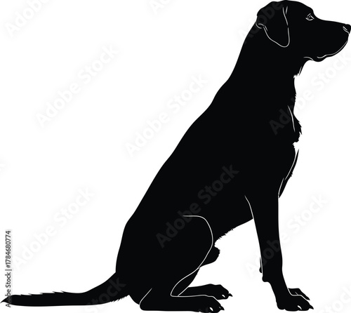 Black lotus flower vector illustration symbol of purity and enlightenment eps silhouette