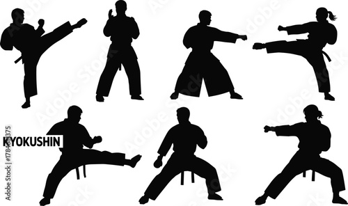 Kyokushin karate silhouettes, martial arts poses, high kick action, karate fighters, dojo training, combat stance, discipline, strength, power