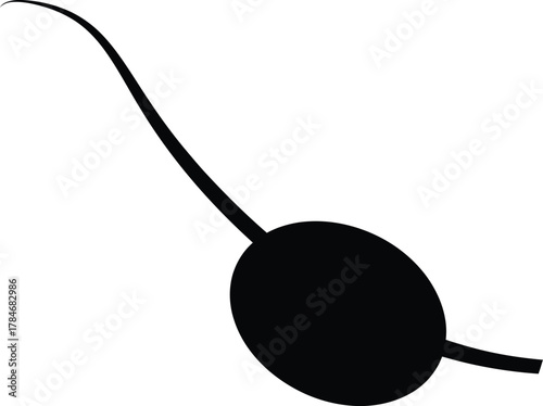 Black eyepatch vector graphic pirate costume accessory illustration eps silhouette