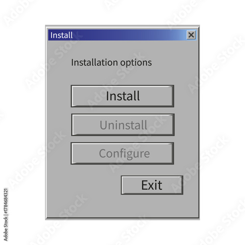 Installation options menu. Software setup panel. System configuration screen. Classic UI elements.
