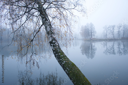 Fototapeta Naklejka Na Ścianę i Meble -  foggy morning in the lakein Tarka Jaworzno polish old holiday resort